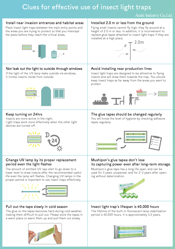 Effective-use-of-insect-light-traps