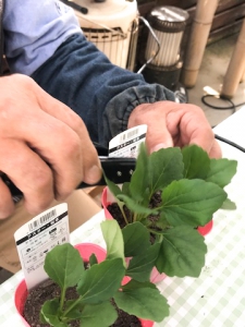 welding garden pot with ultrasonic sealer