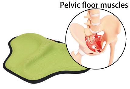 Training weakened muscles that cause urine leakage.<br />
Pelvic floor muscles: The muscles that stop urine by tightening. Weakening of these muscles is said<br />
to cause urine leakage.