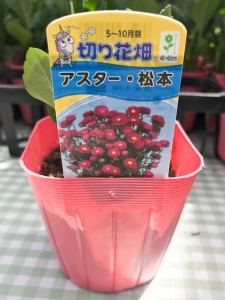 welding garden pot with ultrasonic sealer ２