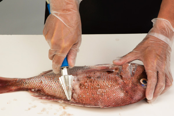 When a towel, fingers, etc. gets caught in it or in similar situations when it senses an unusual load, it will automatically shut off as a safety feature.