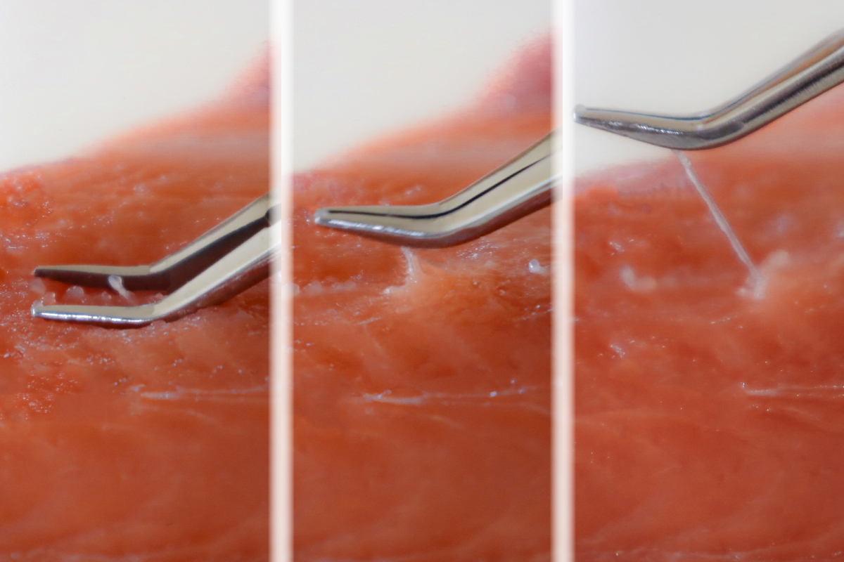 The curved tips press down on the meat and grip only the bone, minimizing damage to the fish. Even embedded bones are easy to catch.